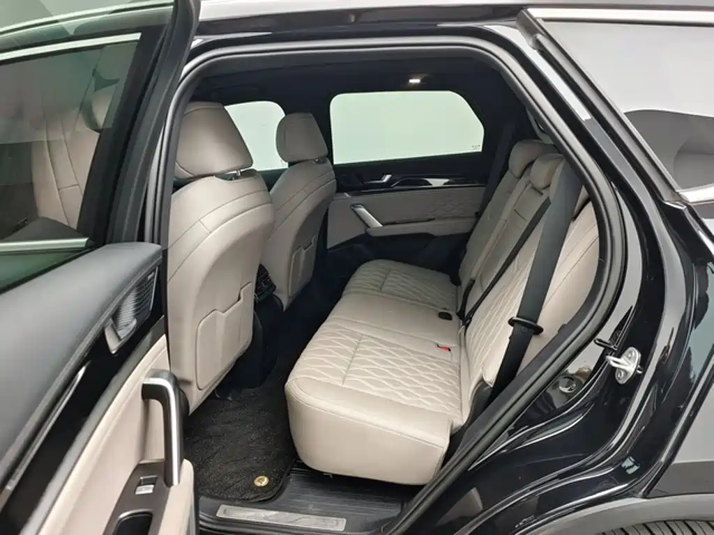 BYD Tang New Energy — миниатюра 11