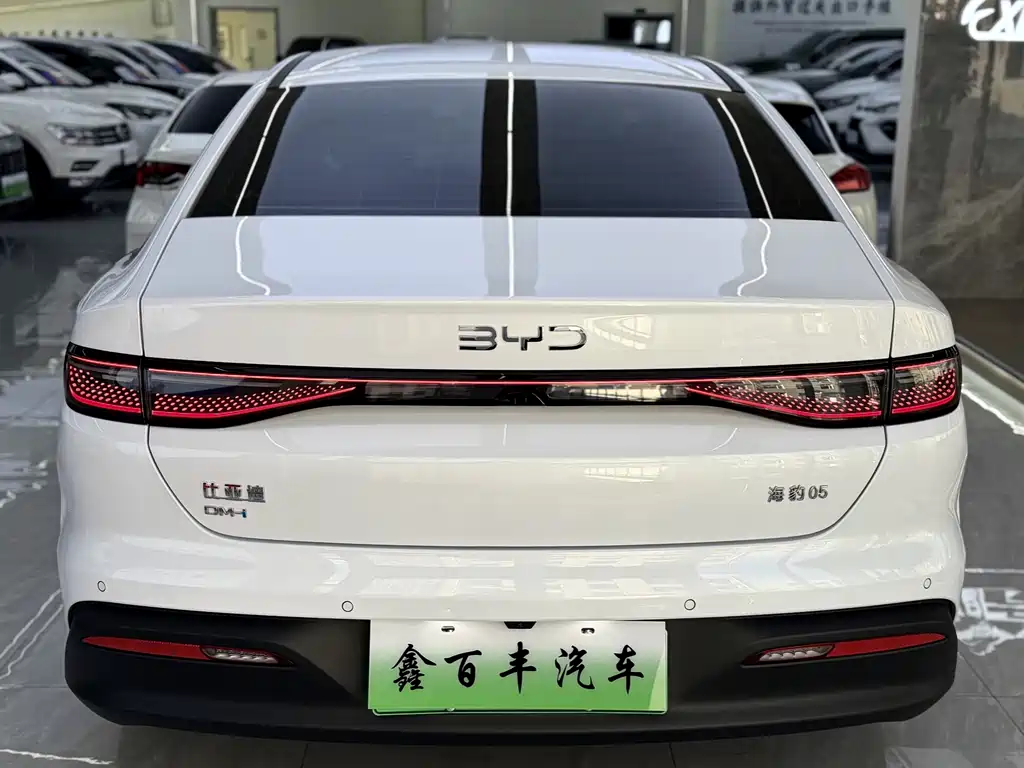BYD Seal 05 DM-i — миниатюра 9