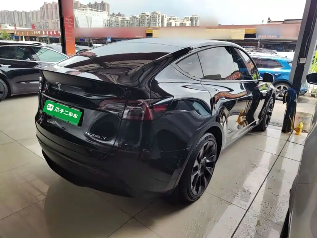 Tesla Model Y — миниатюра 7