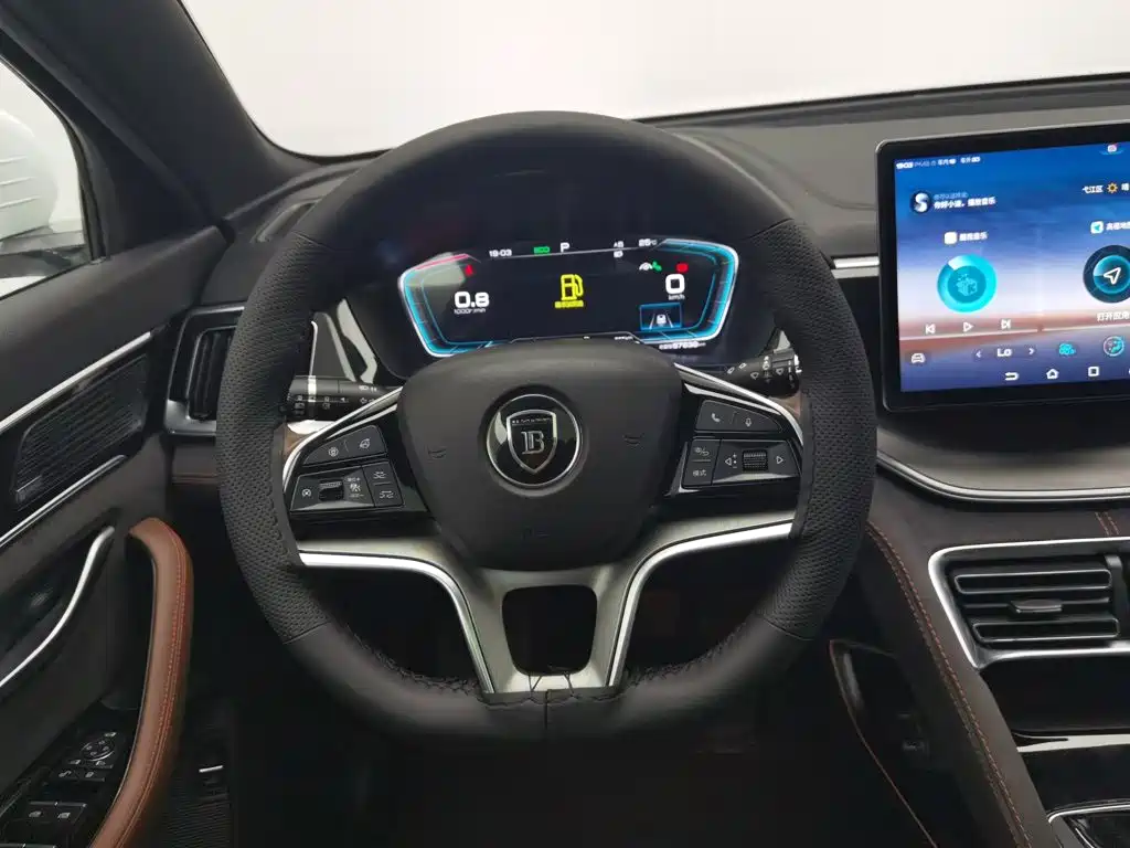 BYD PLUS — миниатюра 11