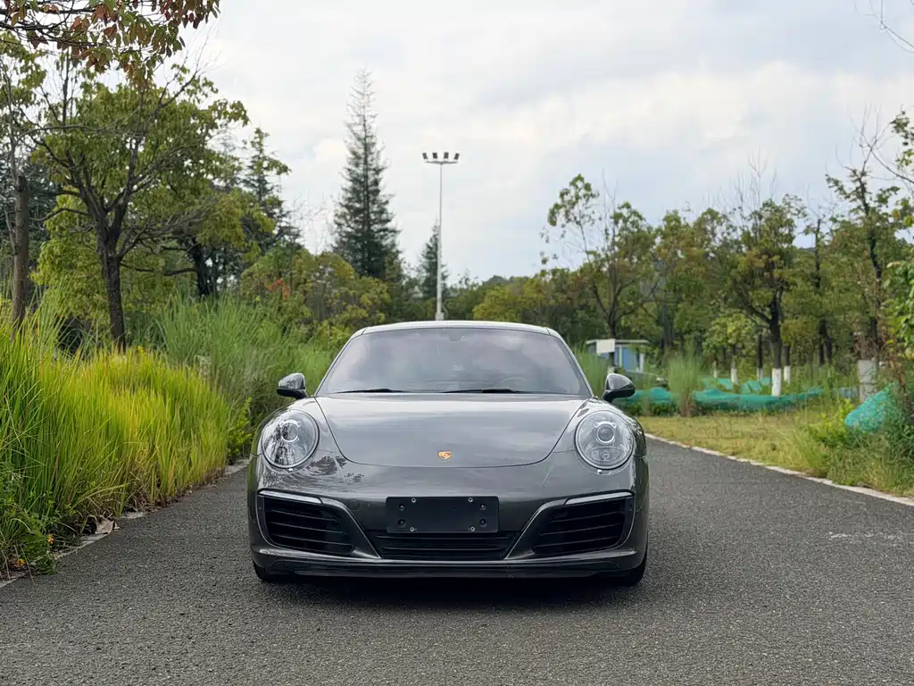 Porsche 911 — миниатюра 2