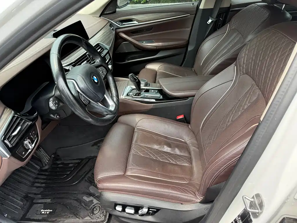 BMW 5 Series 5 2020 530Li Premium Luxury