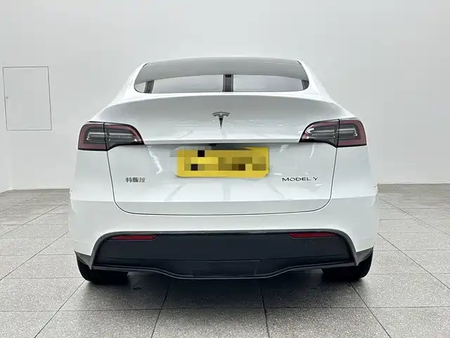 Tesla Model Y — миниатюра 5