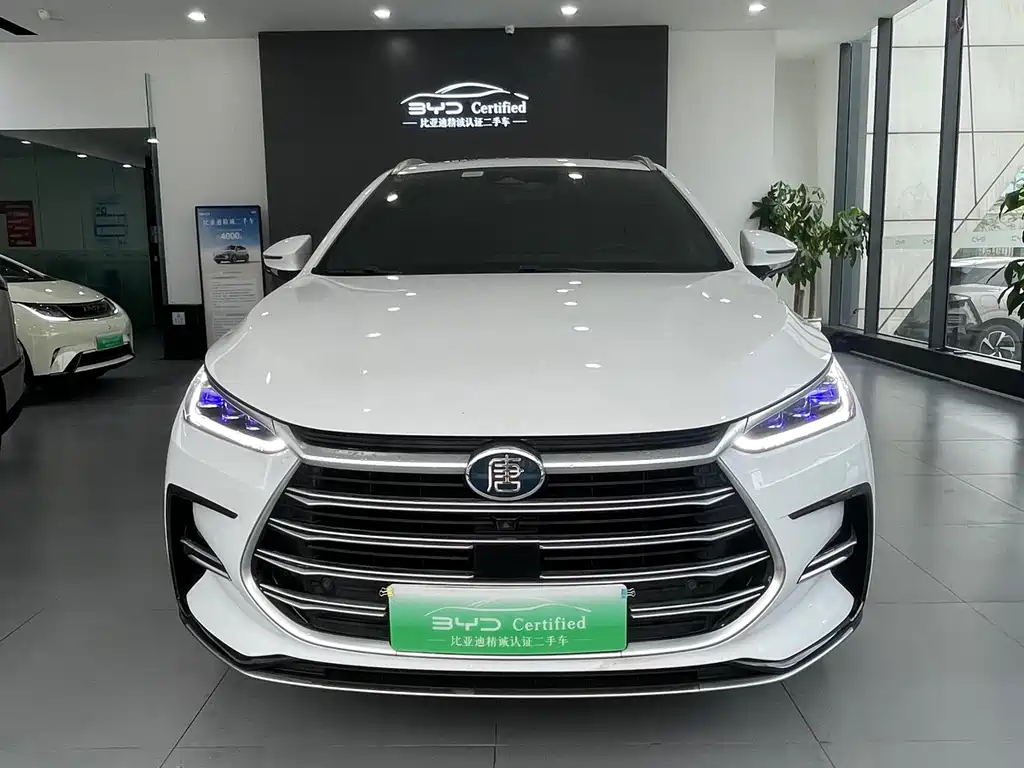 BYD Tang New Energy — миниатюра 2