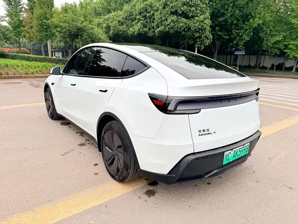 Tesla Model Y — миниатюра 8