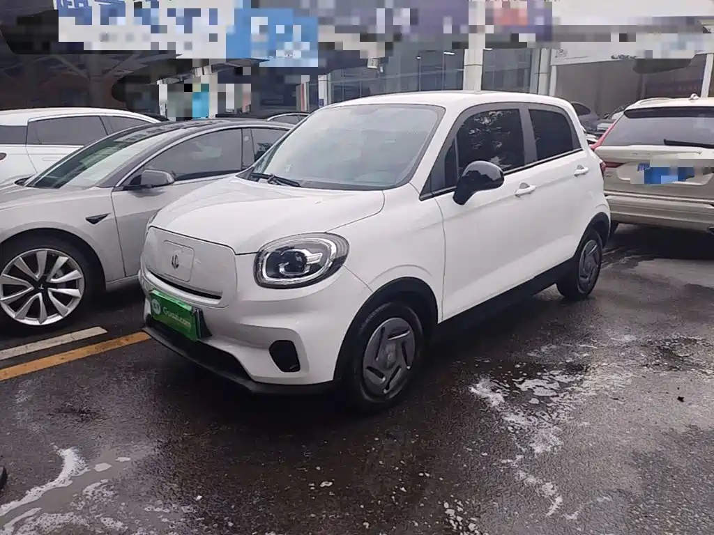 Leapmotor Leapmotor T03