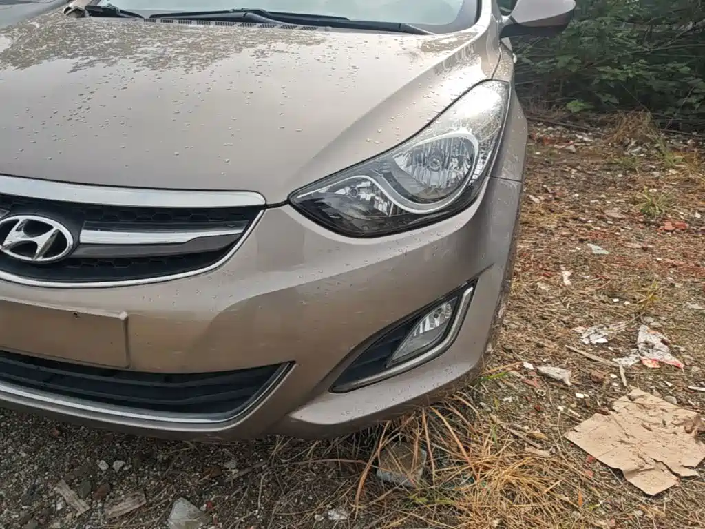 Hyundai Elantra Langdong — миниатюра 24