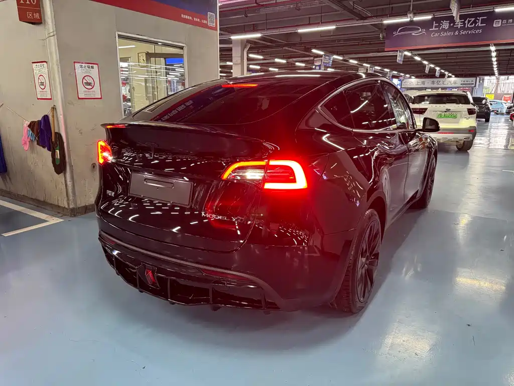 Tesla Model Y — миниатюра 3