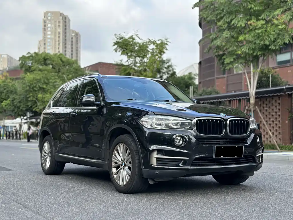 BMW X5 (Import) — миниатюра 3