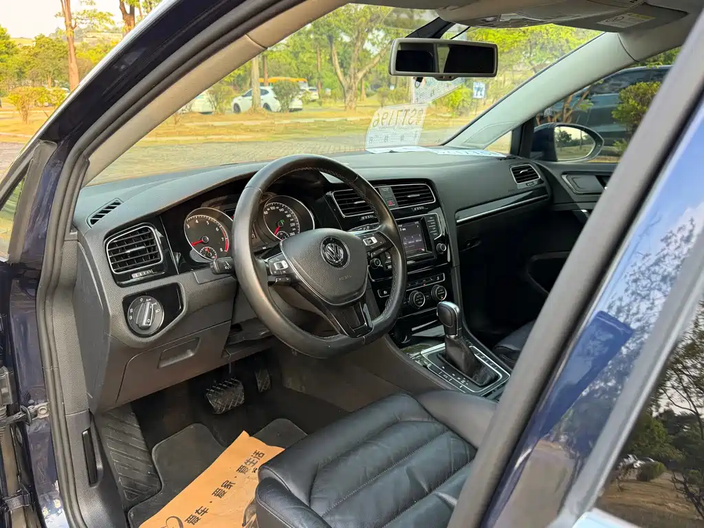 Volkswagen Golf (Import) — миниатюра 10