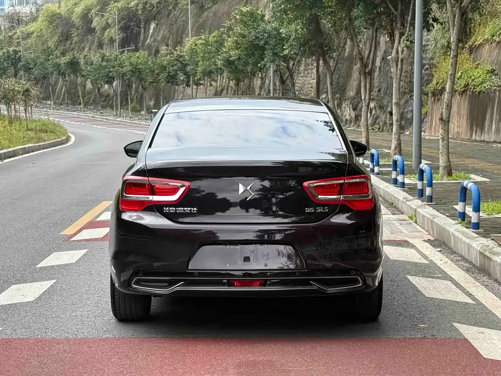 DS DS 5LS — миниатюра 19