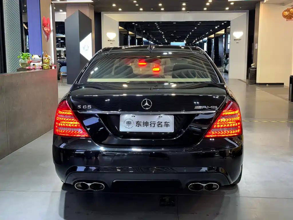 Mercedes-Benz S-Class A MG S AMG 2010 AMG S 65