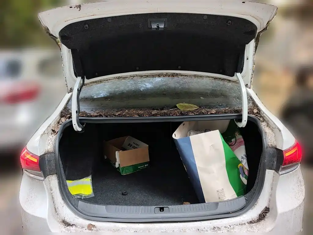 Buick Excelle — миниатюра 15