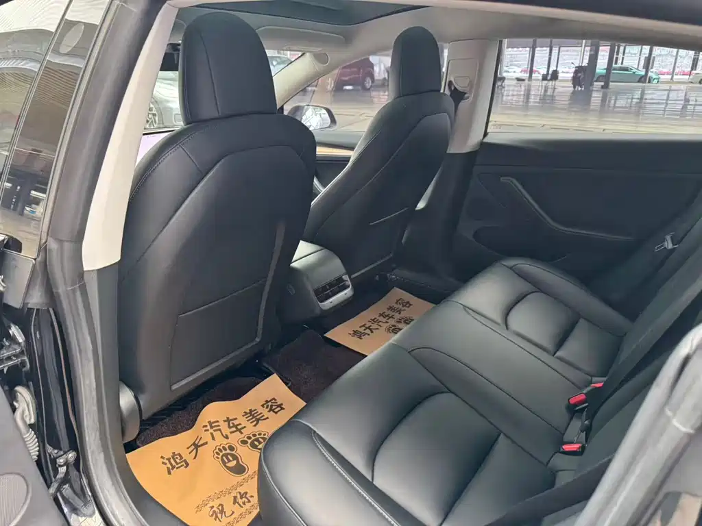 Tesla Model 3 — миниатюра 7