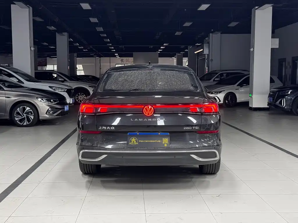 Volkswagen Lamando — миниатюра 13