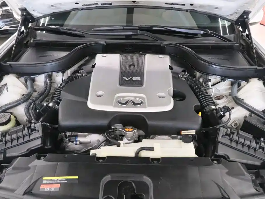 Infiniti G G25 Sedan Luxury Sport Edition, фото 20