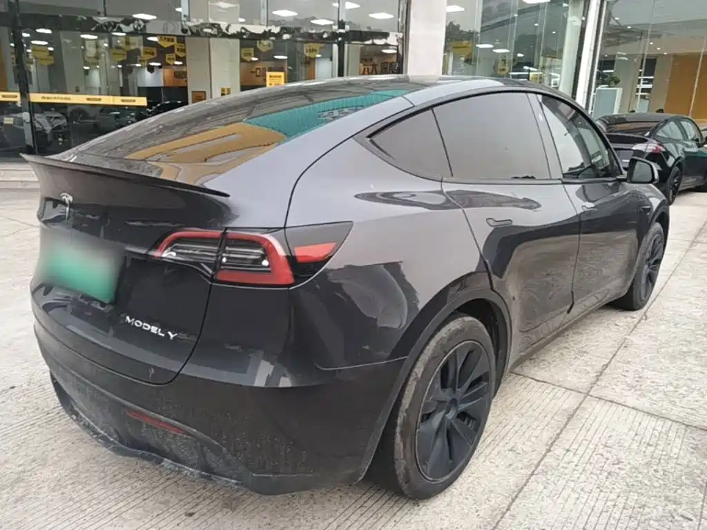 Tesla Model Y — миниатюра 7