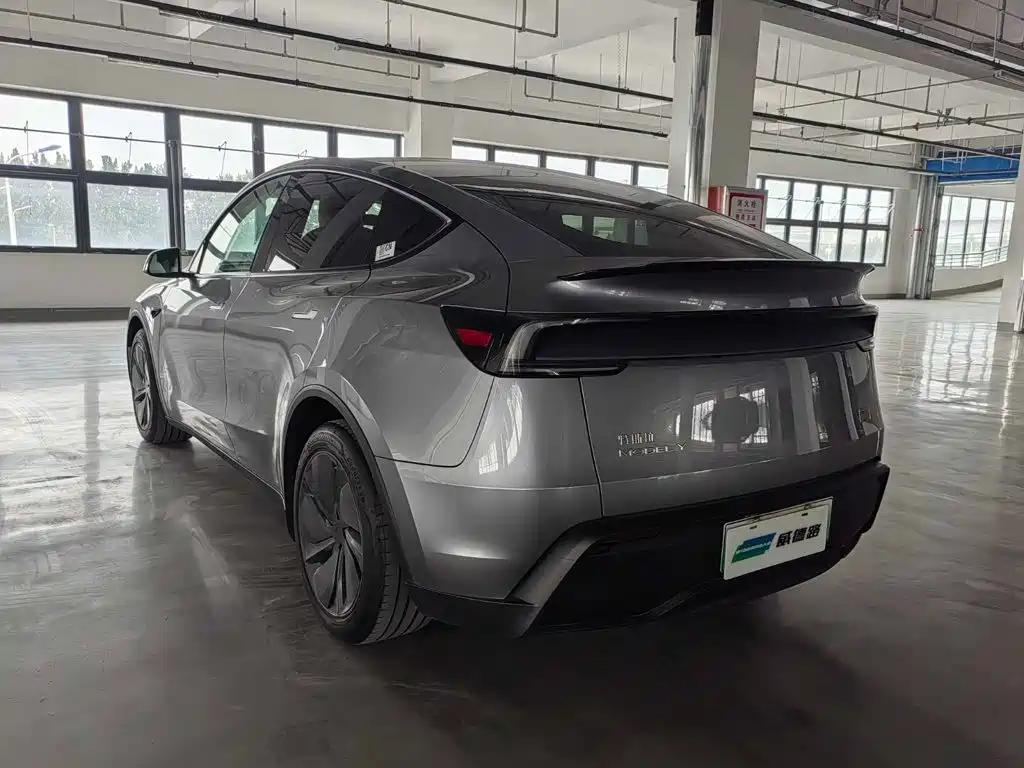 Tesla Model Y — миниатюра 6