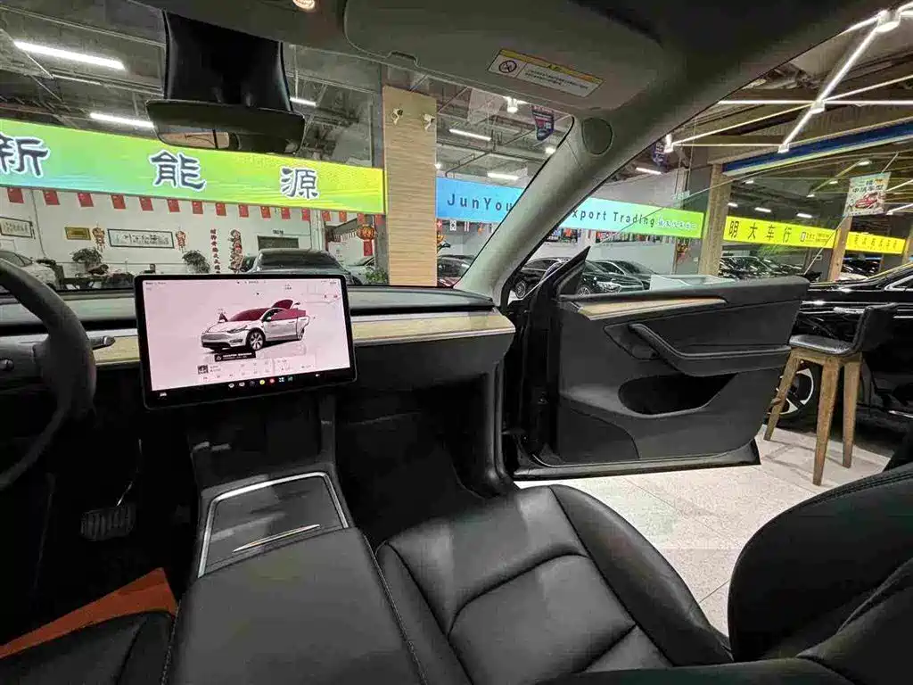 Tesla Model Y — миниатюра 24