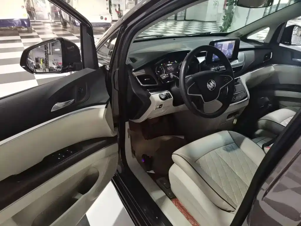 Buick GL8 — миниатюра 16