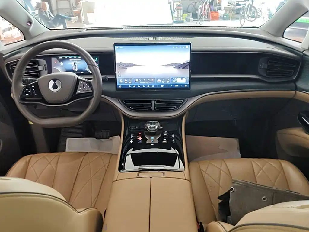 Denza Denza D9 — миниатюра 10