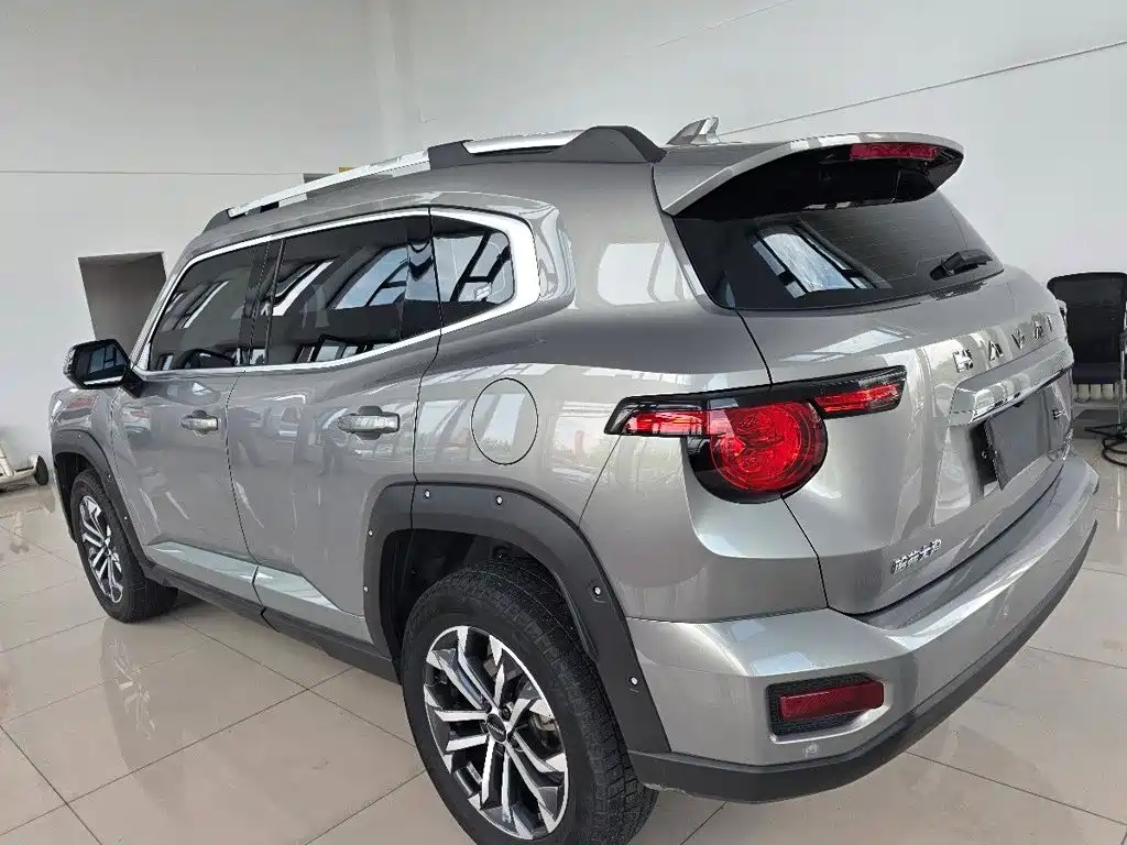 Haval Big Dog PLUS — миниатюра 6
