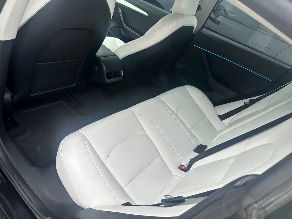 Tesla Model 3 2022 Performance