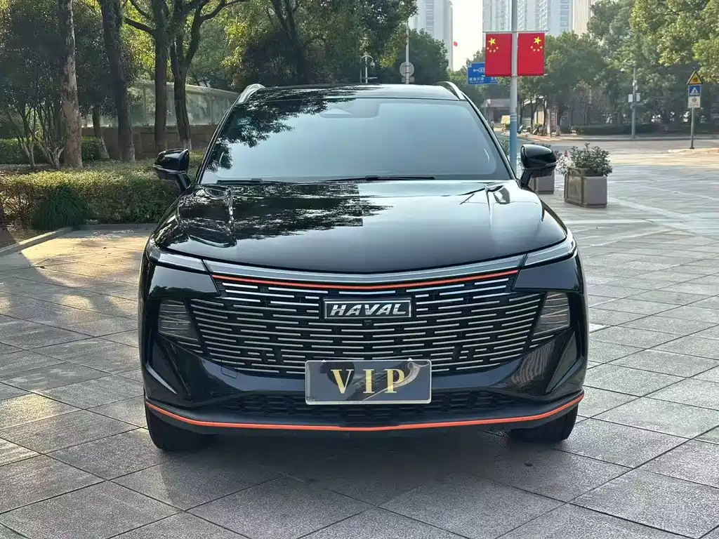 Haval Shenshou — миниатюра 2