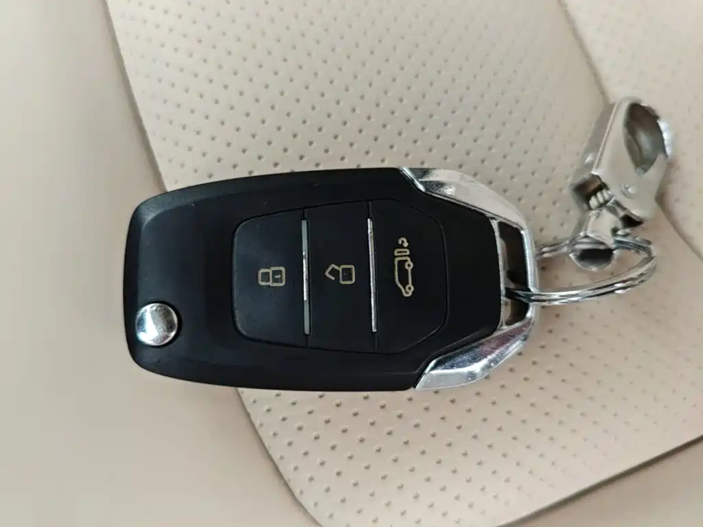 MAXUS V90 — миниатюра 9