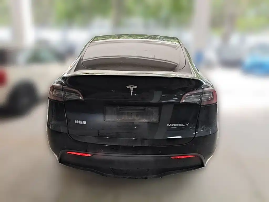 Tesla Model Y — миниатюра 8