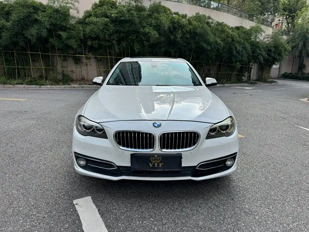 BMW 5 Series — миниатюра 2