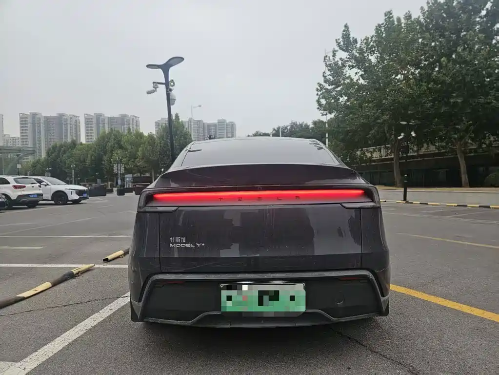 Tesla Model Y — миниатюра 5