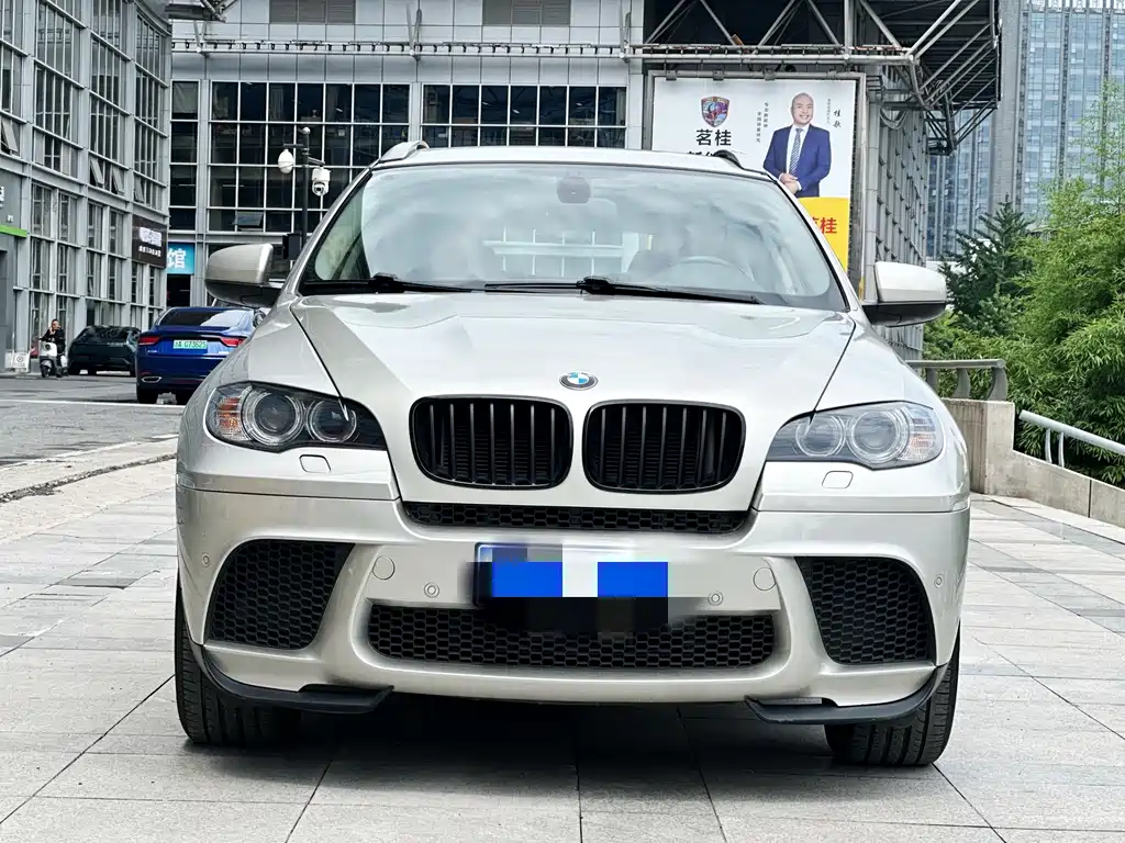 BMW X6 2012 xDrive35i