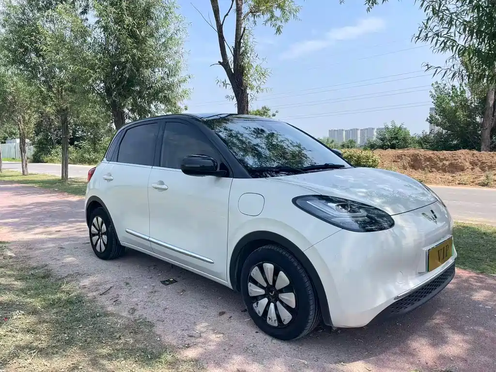 Wuling Binguo 2023 410km Premium