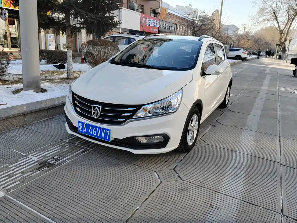 BAOJUN 310