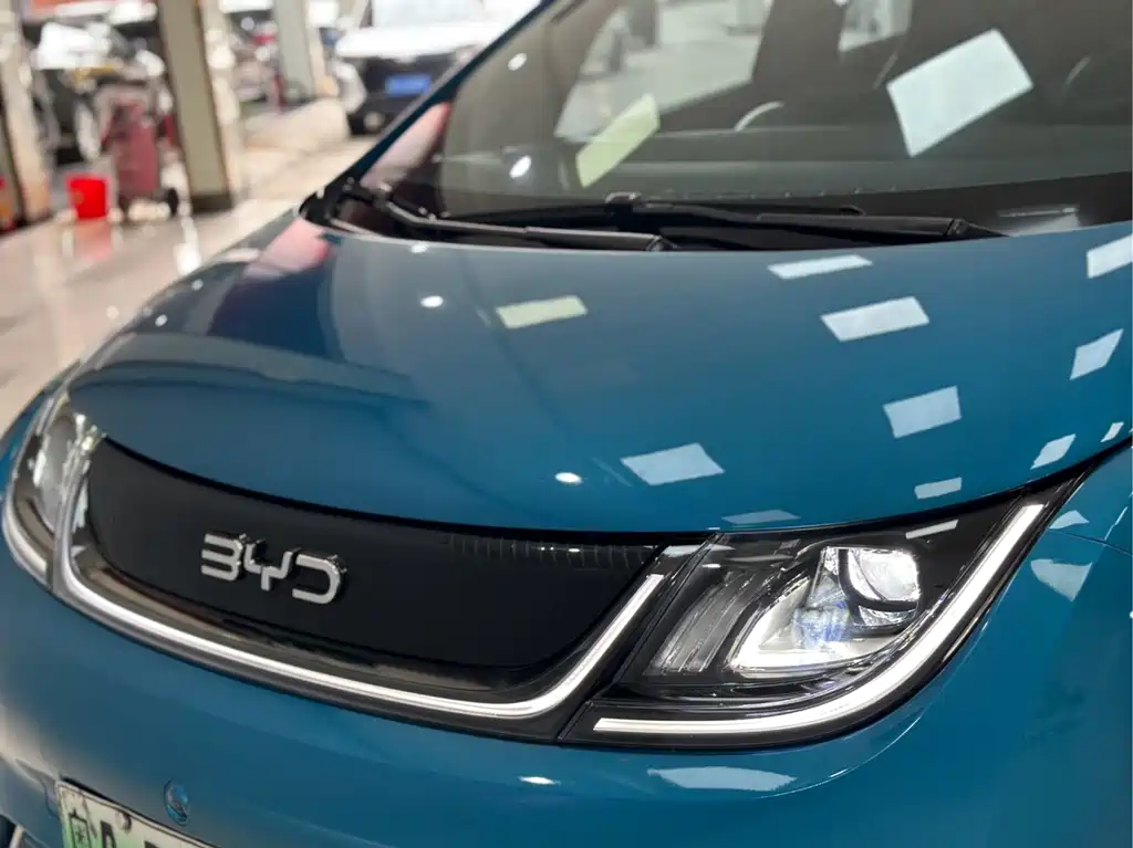 BYD Dolphin — миниатюра 5