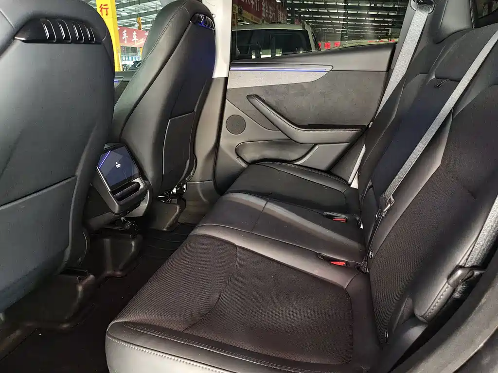 Tesla Model Y — миниатюра 15