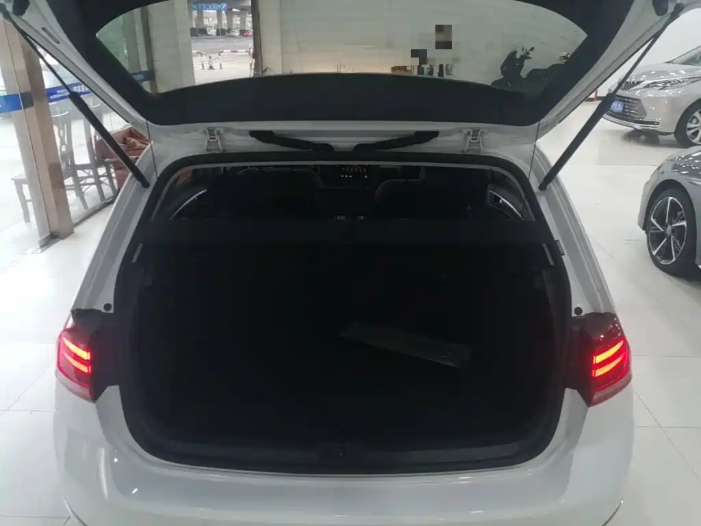 Volkswagen Golf — миниатюра 19