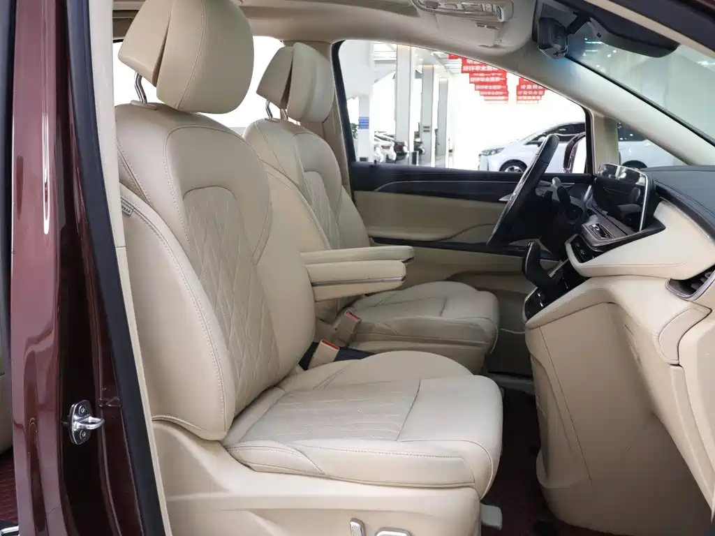 Buick GL8 — миниатюра 22