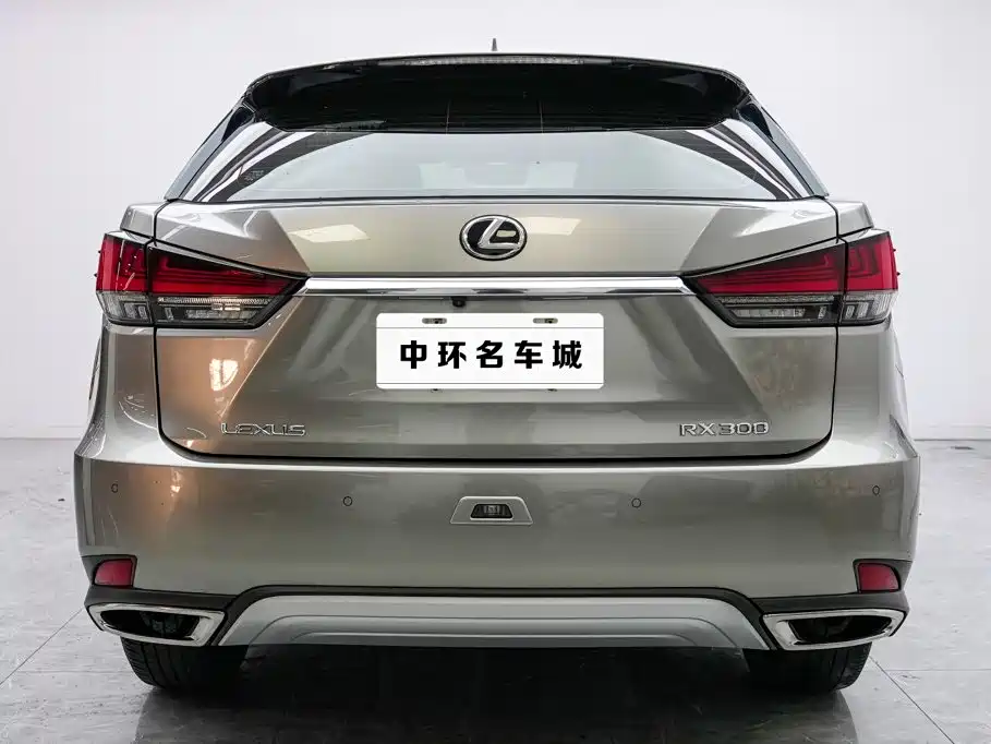 Lexus RX — миниатюра 16