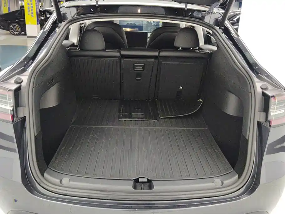 Tesla Model Y — миниатюра 4