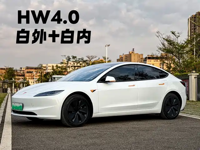 TESLA MODEL 3 2025