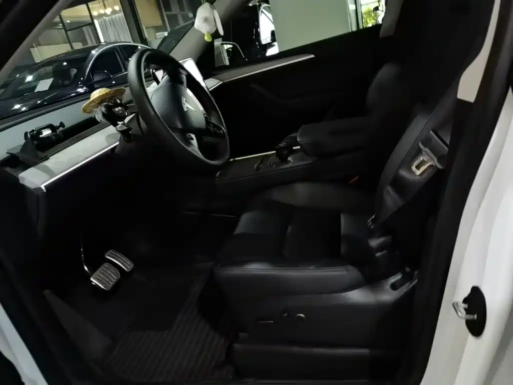 Tesla Model Y — миниатюра 15