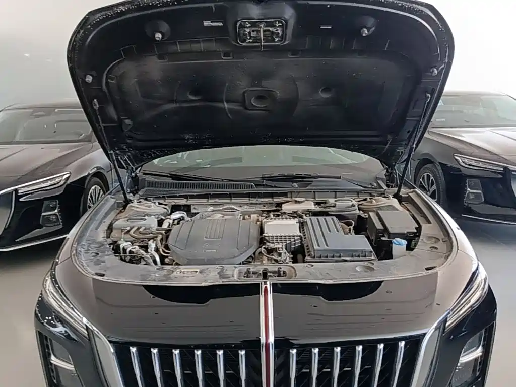 Hongqi Hongqi H5 PHEV — миниатюра 20