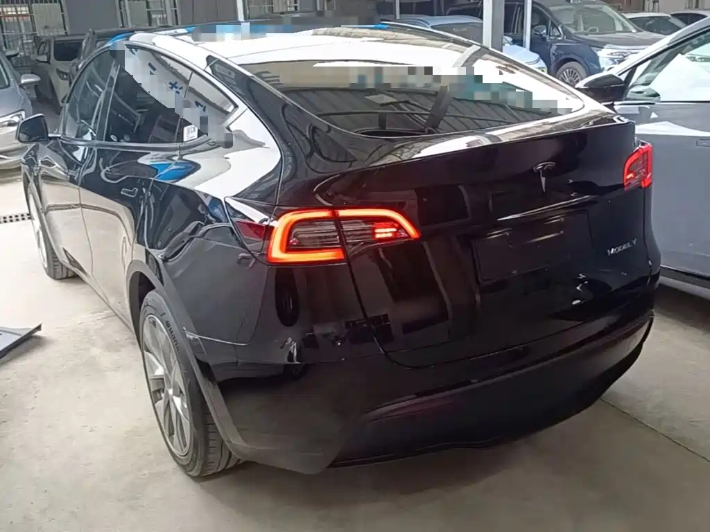 Tesla Model Y — миниатюра 5
