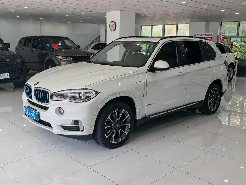BMW X5 New Energy (Import)