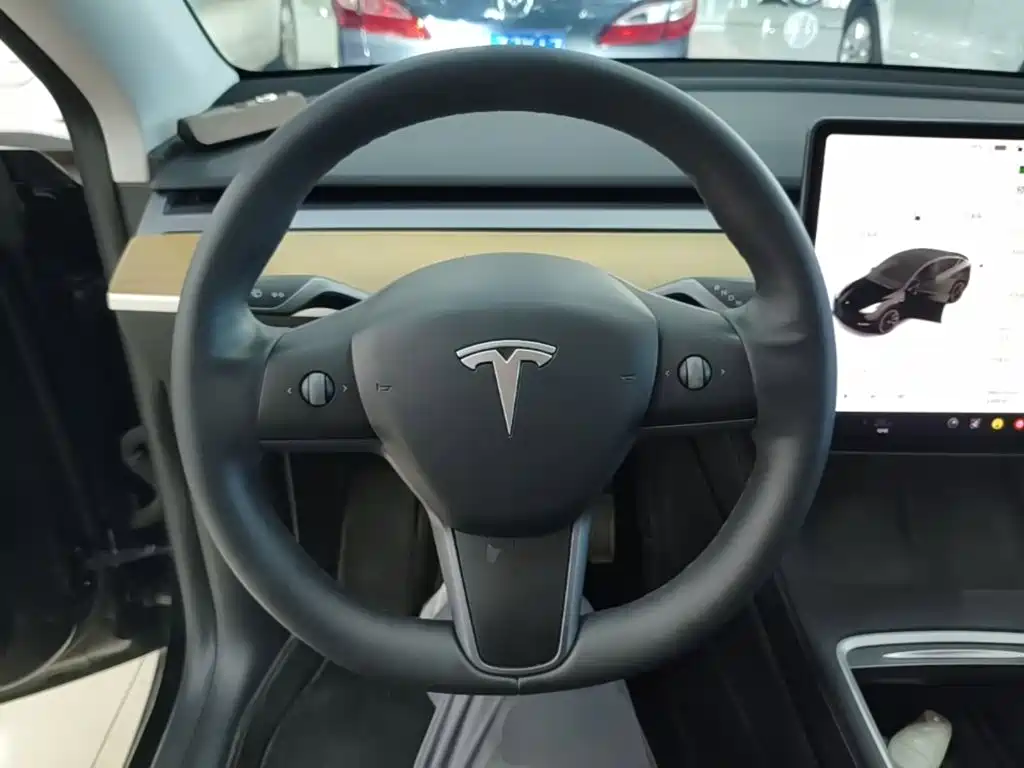 Tesla Model Y — миниатюра 11