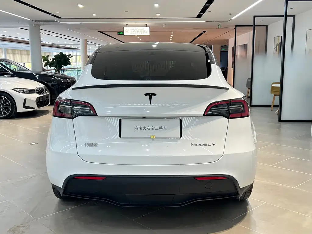 Tesla Model Y — миниатюра 11