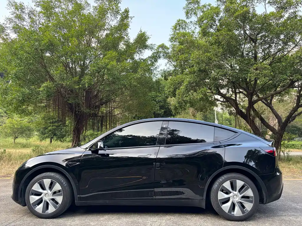Tesla Model Y — миниатюра 4