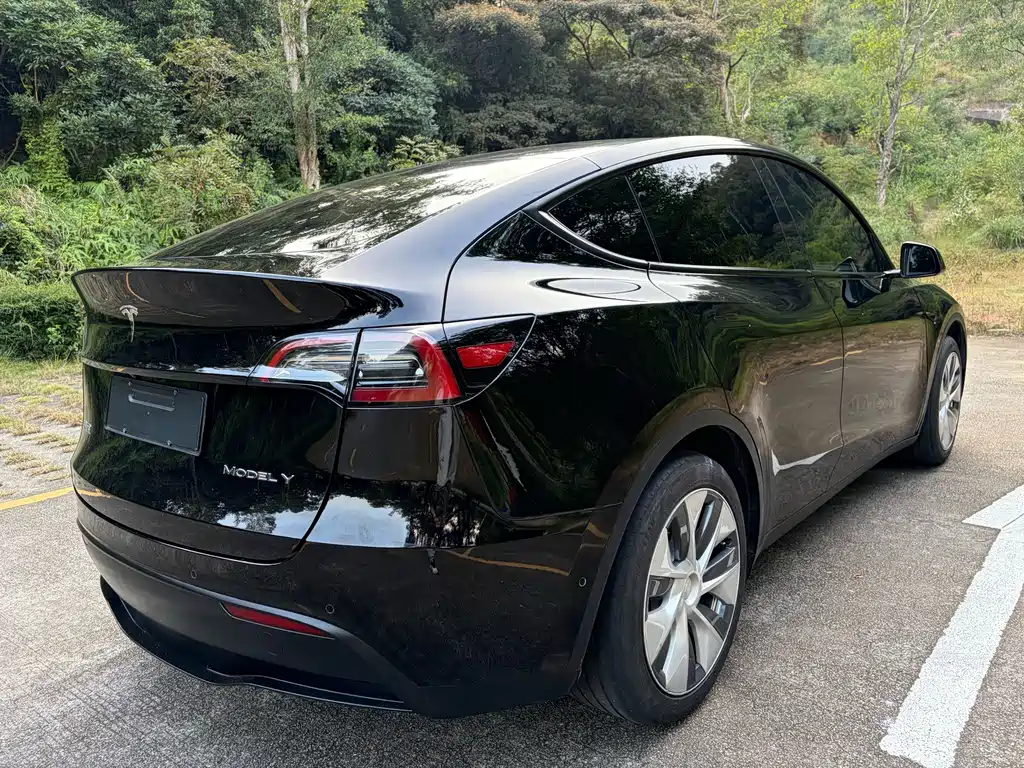 Tesla Model Y — миниатюра 9